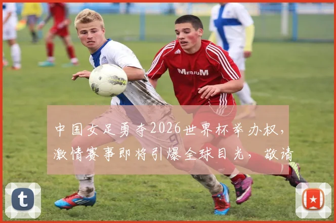 中国女足勇夺2026世界杯举办权，激情赛事即将引爆全球目光，敬请期待