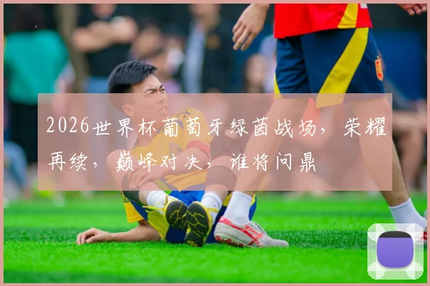 2026世界杯葡萄牙绿茵战场，荣耀再续，巅峰对决，谁将问鼎