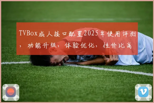 TVBox成人接口配置2025年使用评测，功能升级，体验优化，性价比高，三大亮点解析，不容错过